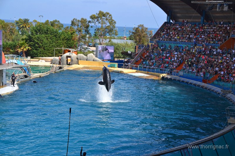 Marineland aout 2014 98.JPG - Marineland - Parc d'attractions aquatiques - Antibes - Août 2014